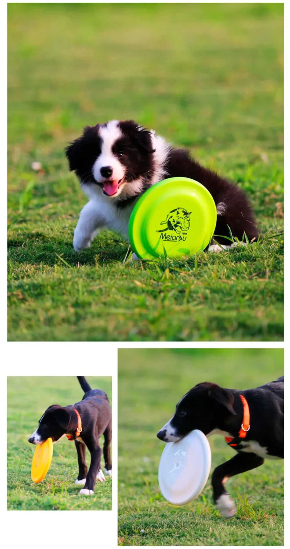 18.5cm Fashion Pet Dog Silicone Game Flying Saucer Dog Toy Flying Discs Trainning Interactive Toys Pet Supplies Flying Disc